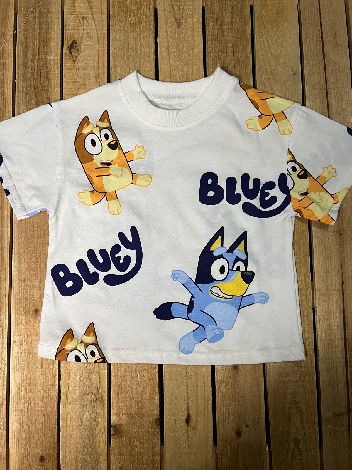 Bluey and Bingo Graphic Tee